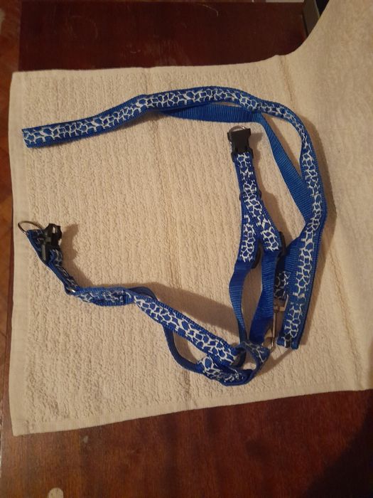 Ham si lesa pentru caine de talie mica