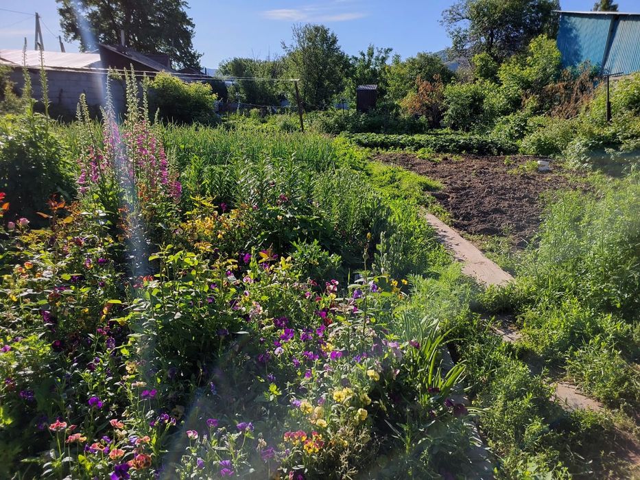 СРОЧНО продам дом.