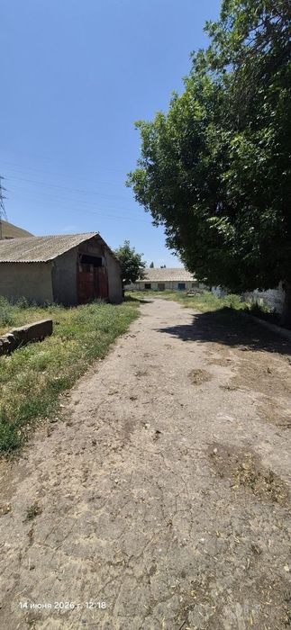 Продается ферма Таш.область