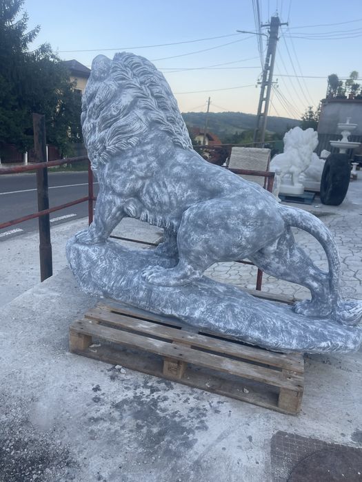 Leii din betin pentru curtea ta !
