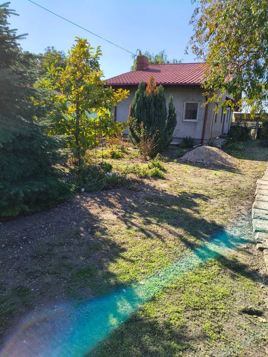 Casa de vânzare în Jilava