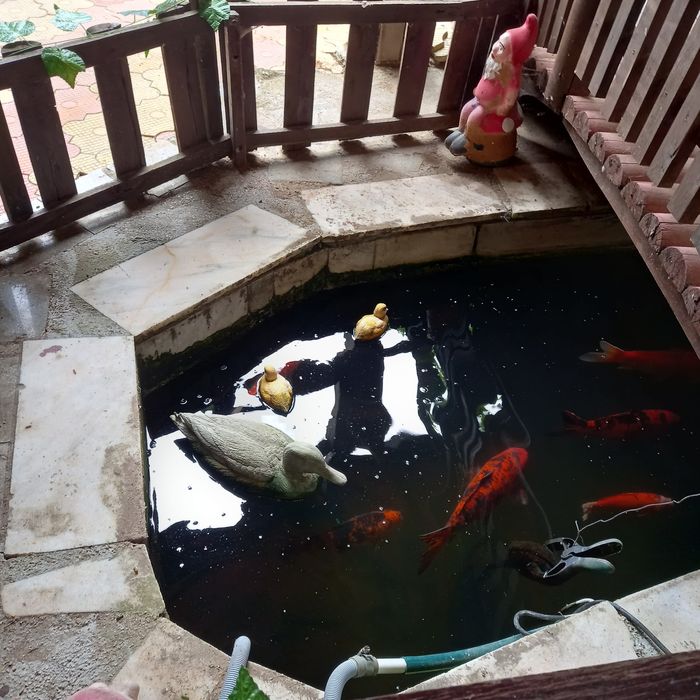 Casa George si Ana de vanzare