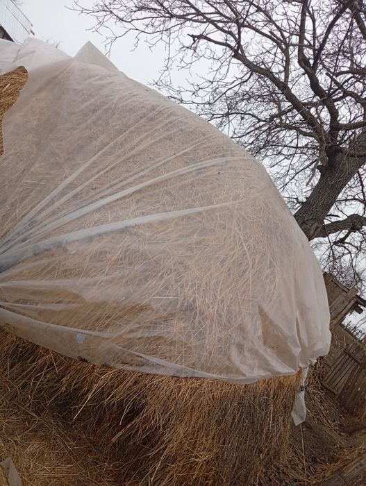 Vând un stog de lucernă amestecată cu fân foarte bun