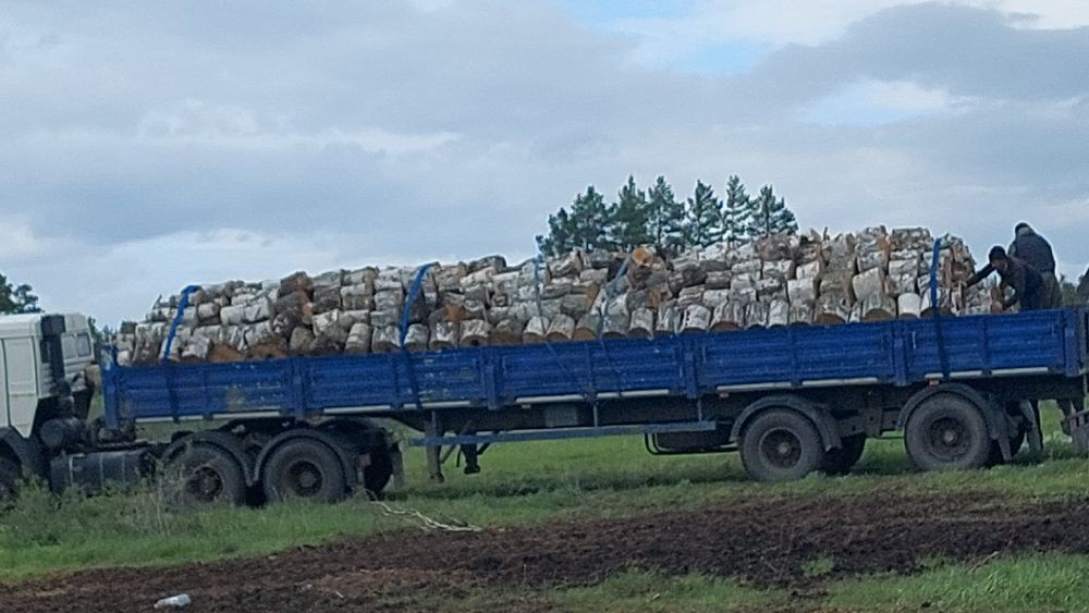 Дрова береза в мешках