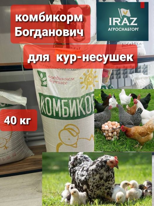 Комбикорм для несушек кур