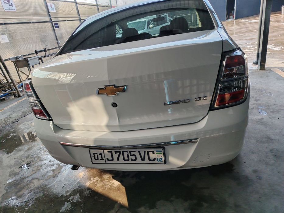 Cobalt 2025 midnight