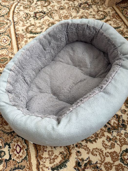кошку в хорошие руки