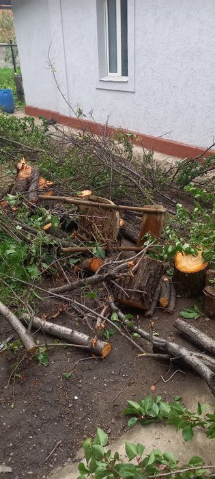дрова в дар бесплатно