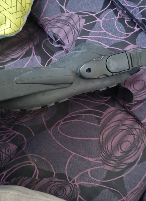 Плавници pegaso.