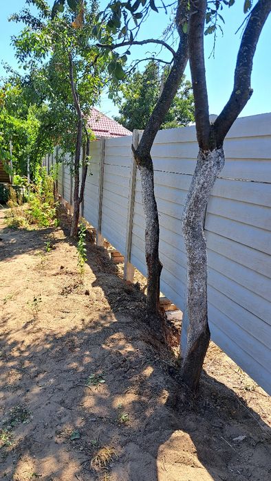 Gard  din beton  este în comuna celaru