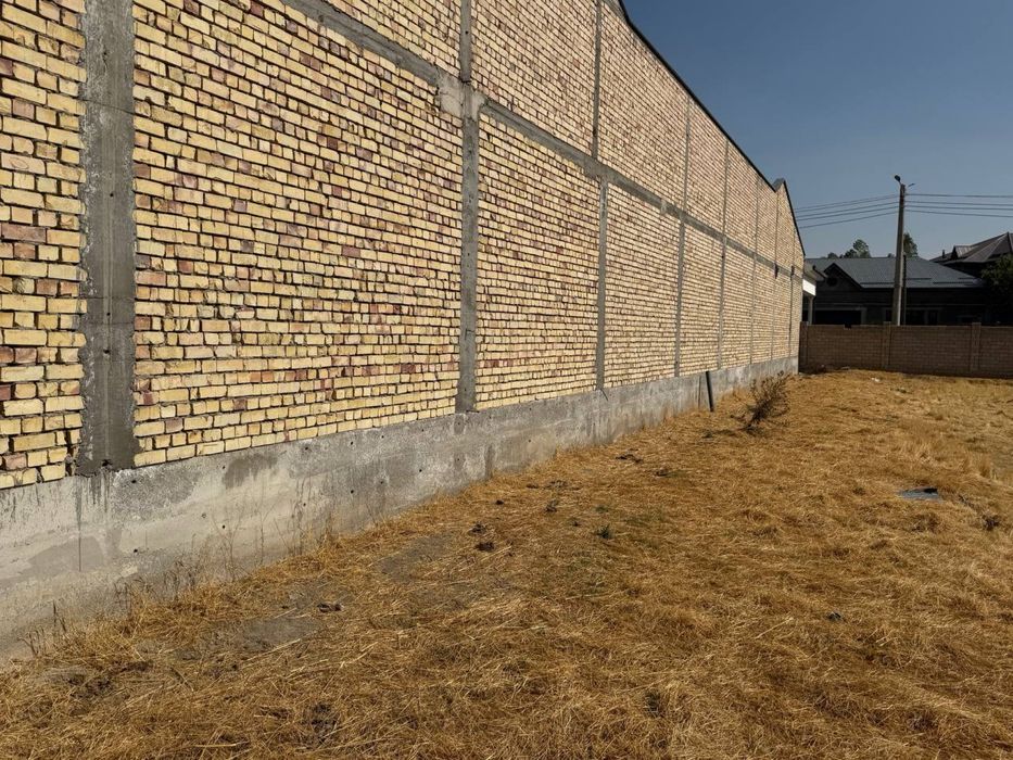 Tayor quruq yer Tuzelda