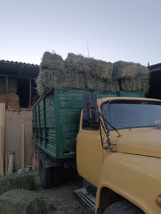 Beda press toza beda