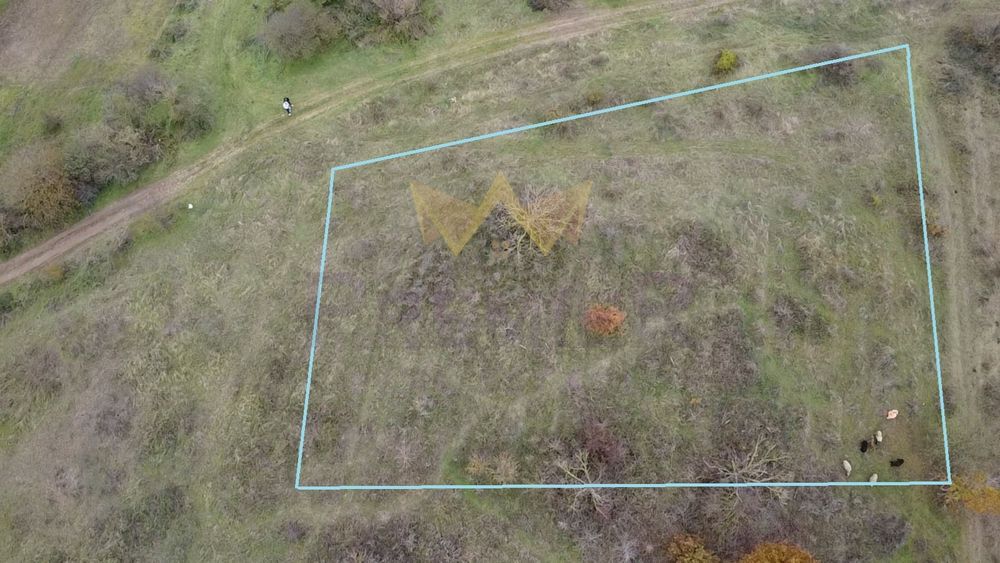 Продава се Парцел в с. Константиново, Област Варна - 2000 кв.м за 8 €/кв.м - Снимка #5