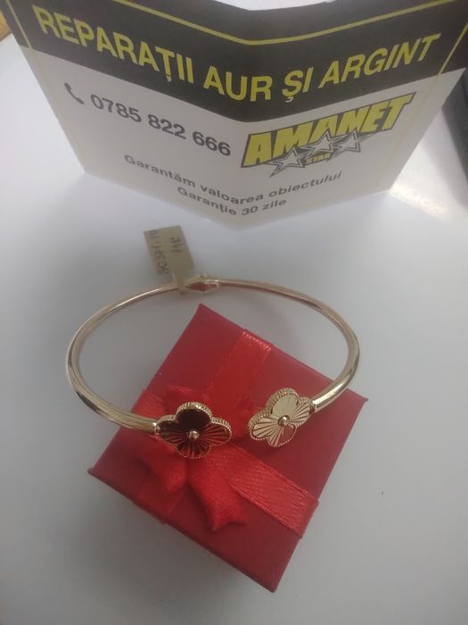 Bratara fixa aur 14k (efn)