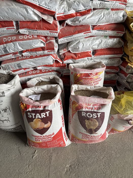 Корма для птиц цыплят