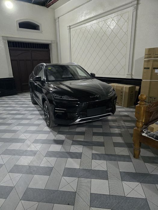 Bvd song plus chempion