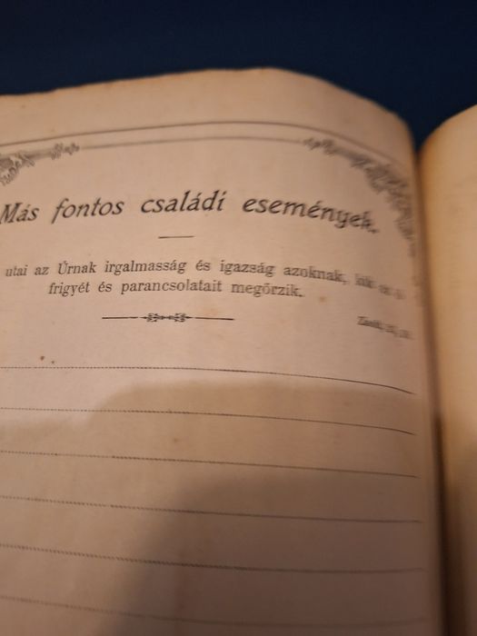 Titlu:
Biblie veche în limba maghiară – secolul XIX, volum complet
Des