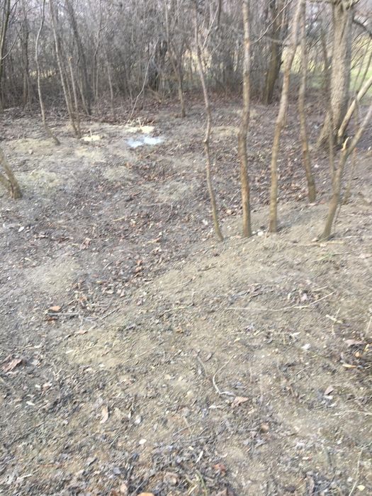 Teren intravilan, com.Ciurea, jud.Iasi, 2725mp la 20 euro mp