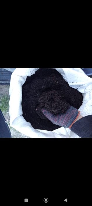 Перегной перегной