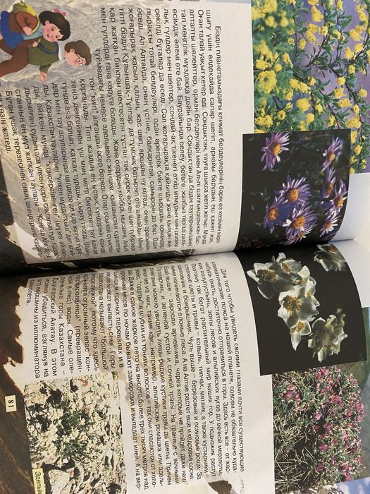 Книга про Казахстан