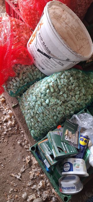 Български наронен чесън.