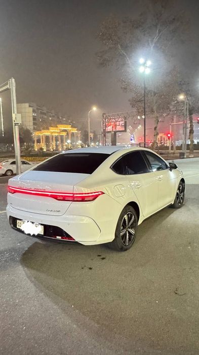 Byd chazor 120tali 2023 masla