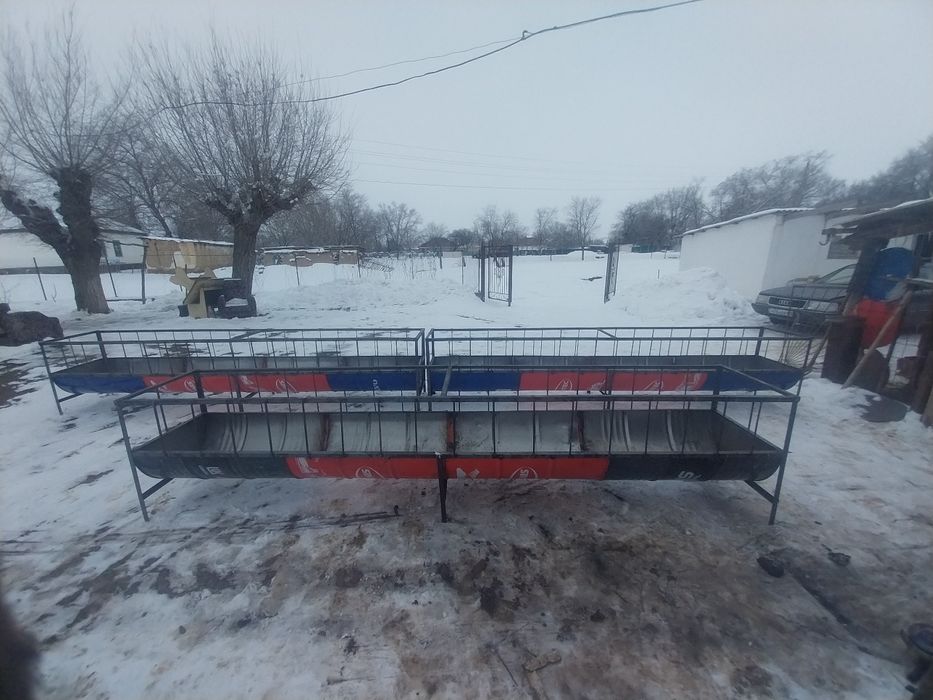 Қоиға науа астау