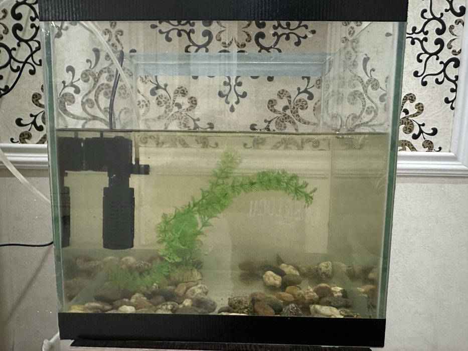 Аквариум 20л в сборе