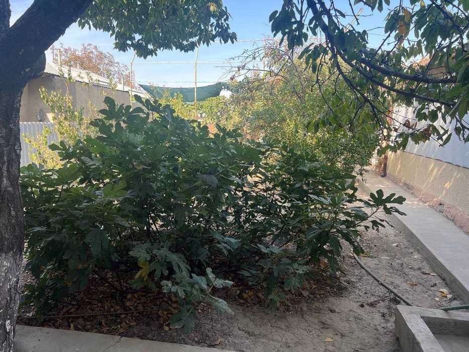 Azotchik 1 da hovli sotiladi O`zimniki