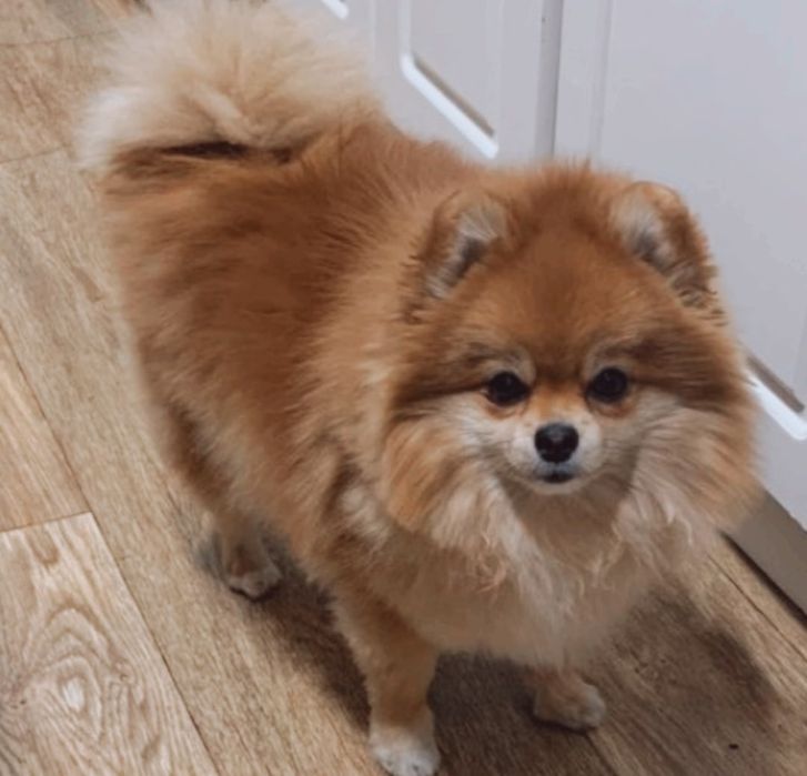 Частная длительная передержка.