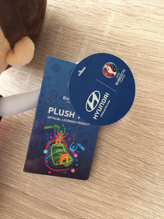 Сувенир от Евро 2016 Франция