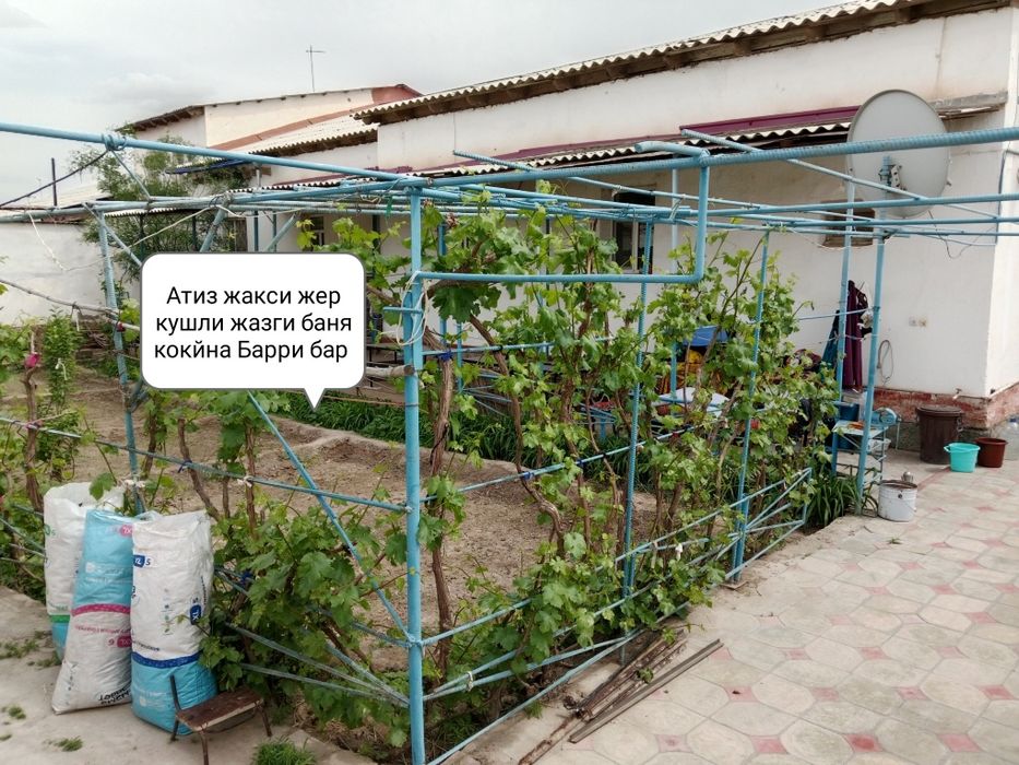 Нукус 1996 (Сул)