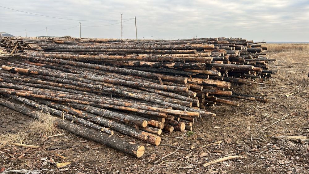 Продам подтаварник ,жерди,столбы