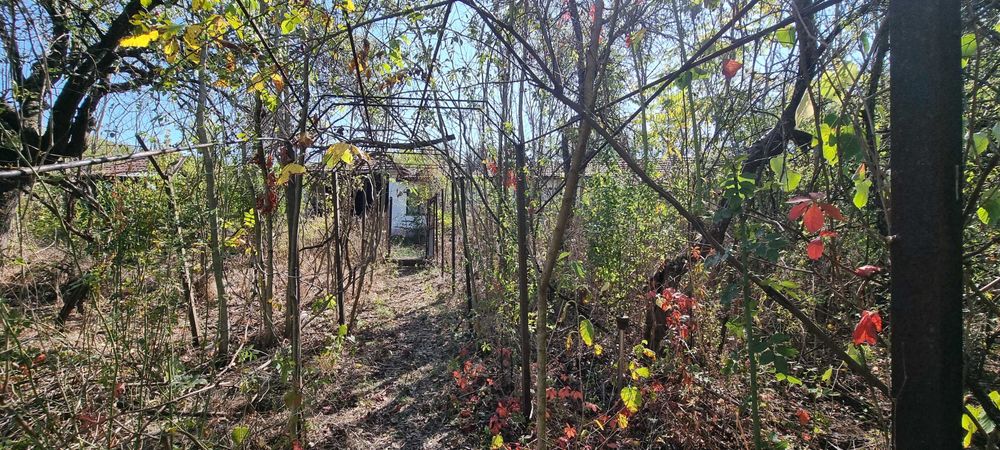 Продава се Къща в с. Побит камък, Област Разград - 140 кв.м за 822 €/кв.м - Снимка #11