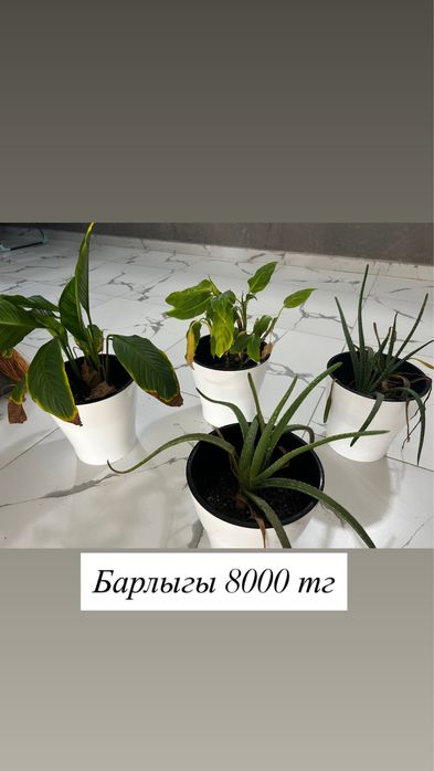 Киімдер сатылдаы