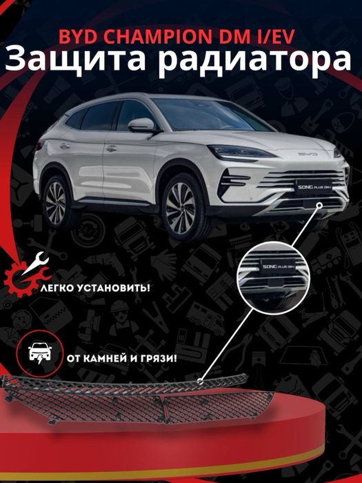 BYD chempion uchun old reshyotka