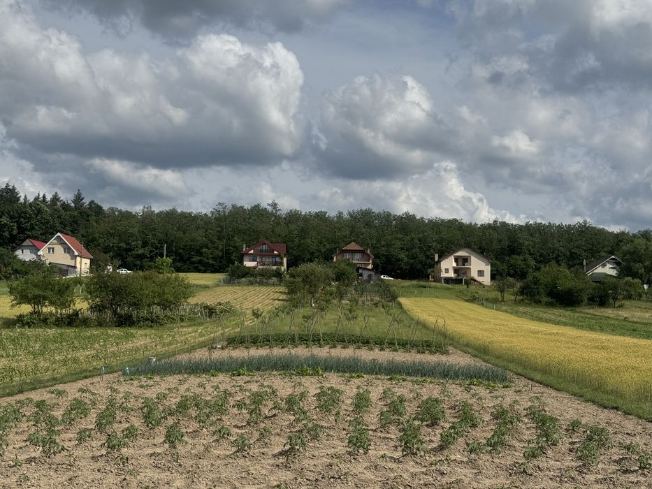 Vand casa in Alparea
