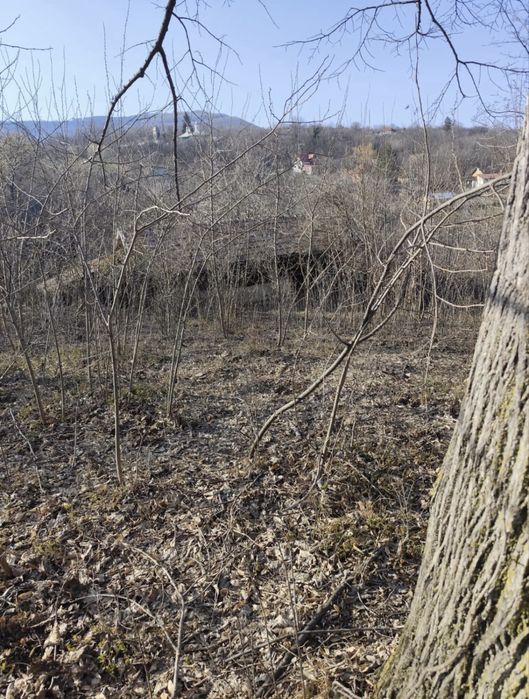 Teren 5000 mp, PIETRARU, BUZAU, cel mai ozonat loc din tara