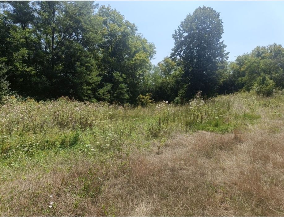 Vând teren intravilan in Ariceștii Zeletin 1500 mp