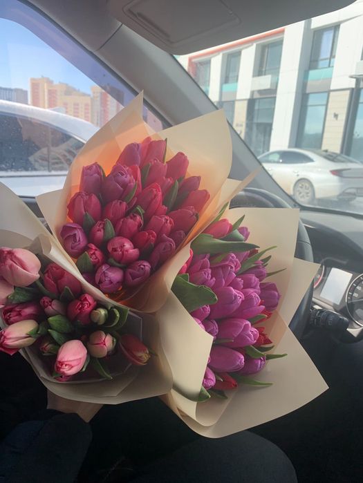 Тюльпаны голандские