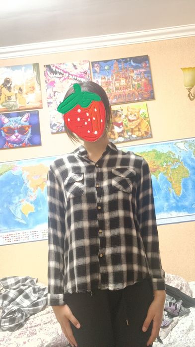 Две клетчатые рубашки