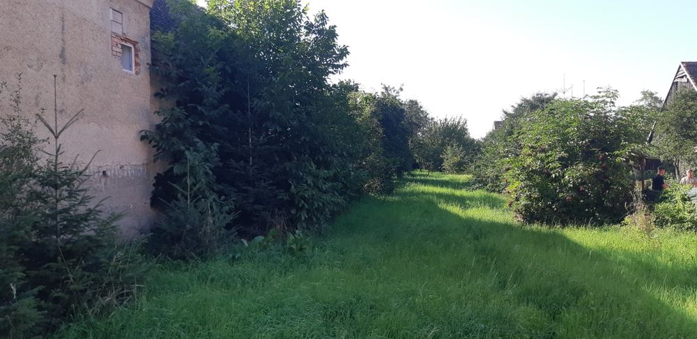 Teren intravilan 988mp de vânzare, Târlungeni între case