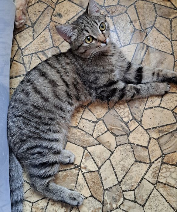 Мальчик 4мес ищет дом