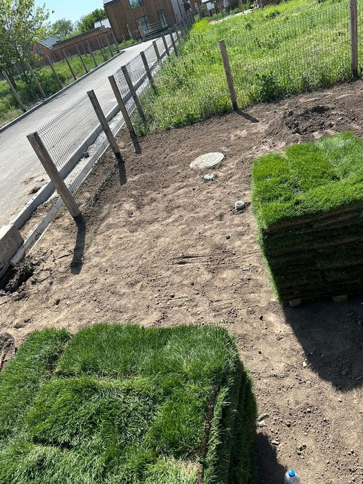 Гозон,укладка посев,