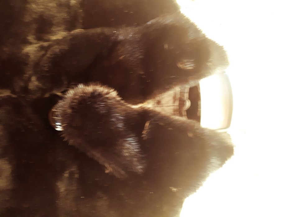 продам Шубу (Бобер)