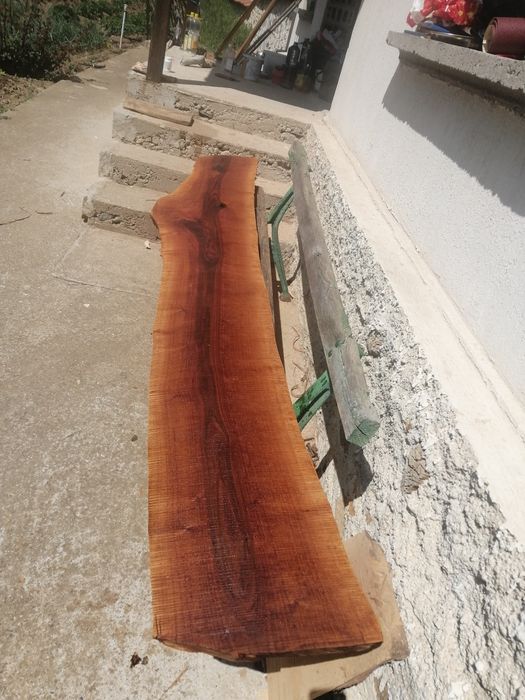 Орехови янове от 240 см