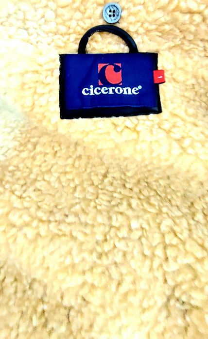 Cojoc Cicerone Barbati