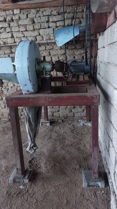 Българска фуражомелка