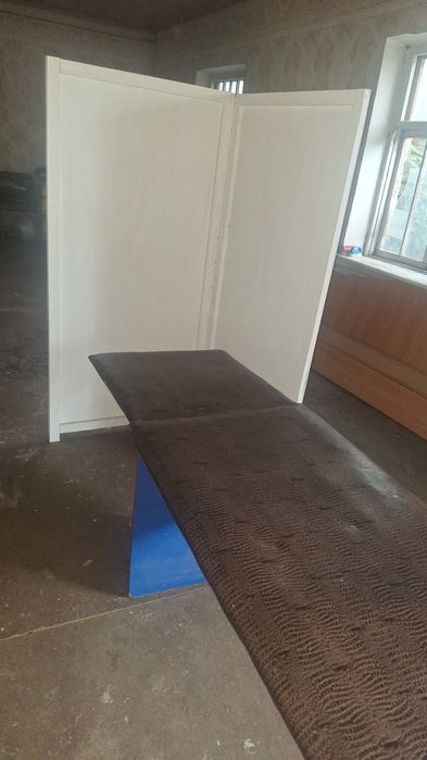 Кошечка медицинская