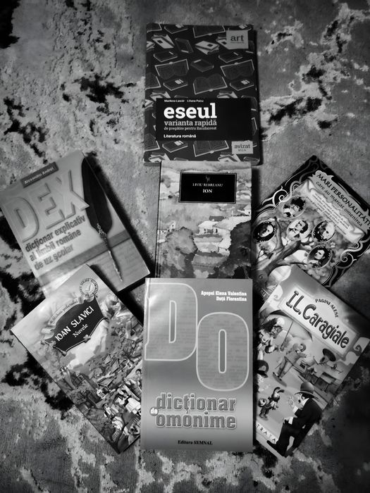 Meditații Limba română BAC - 65 RON/ședință 90 de minute